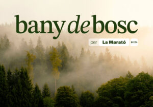 Bany de Bosc per la Marató de 3Cat