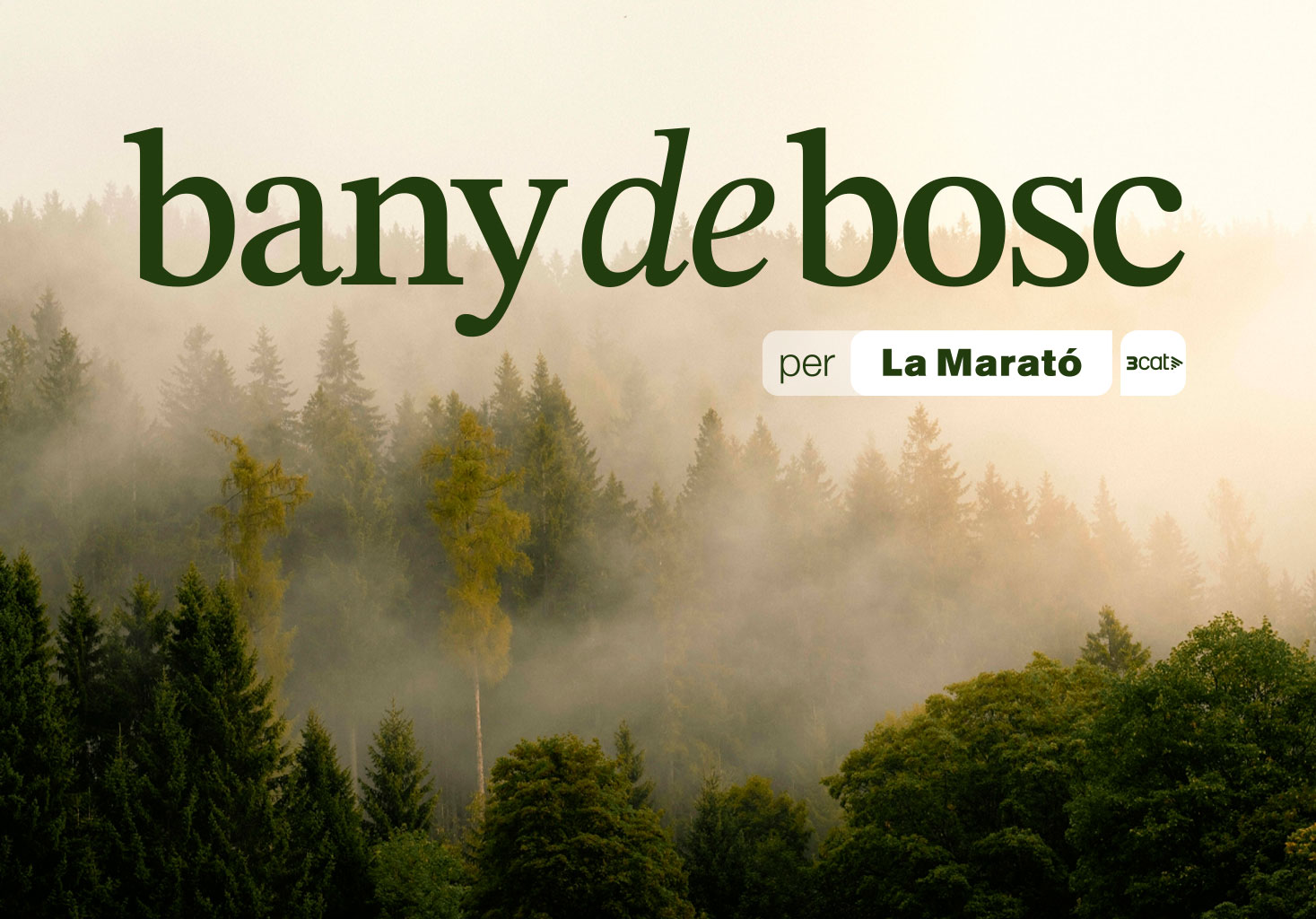 Bany de Bosc per la Marató de 3Cat
