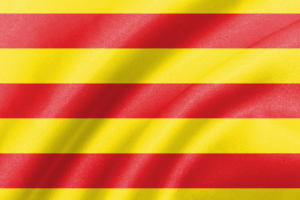 Curs de català C1 en línia. Coordinat amb el Consorci per a la Normalització Lingüística